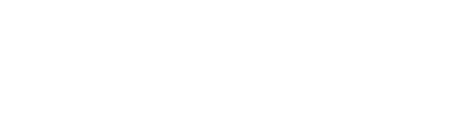 Logo Img